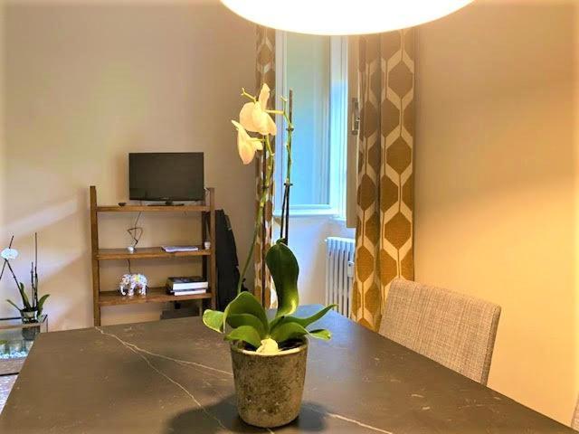 Apartament Duchi Di Castro Chic Rzym Zewnętrze zdjęcie